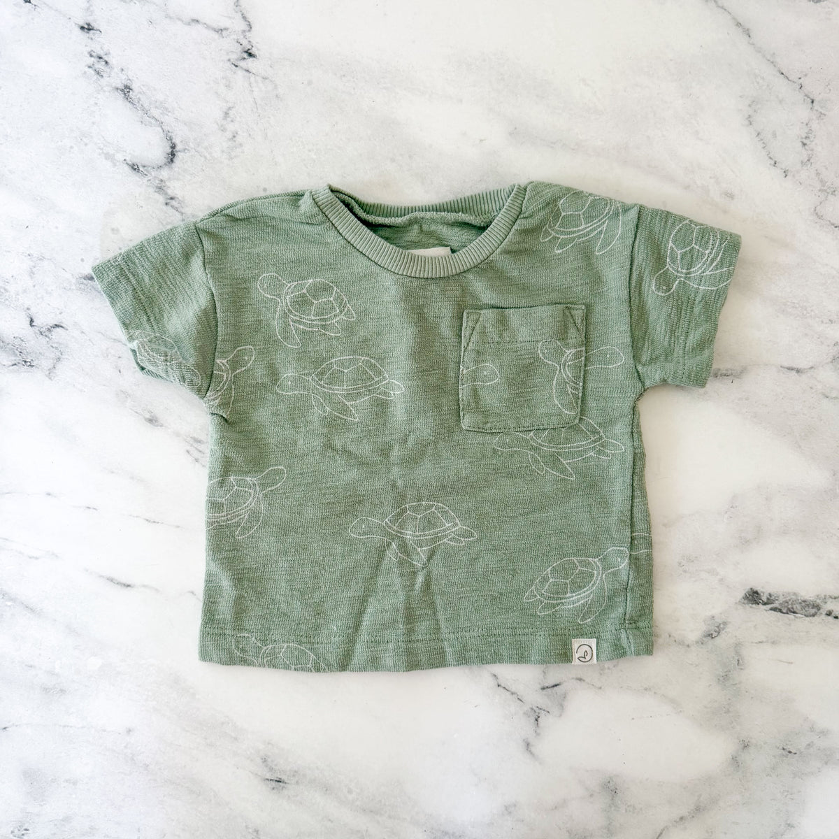 Little Planet Organic Sage Green Printed Turtles T-Shirt + Pull On Shorts Matching Set | 0-3m