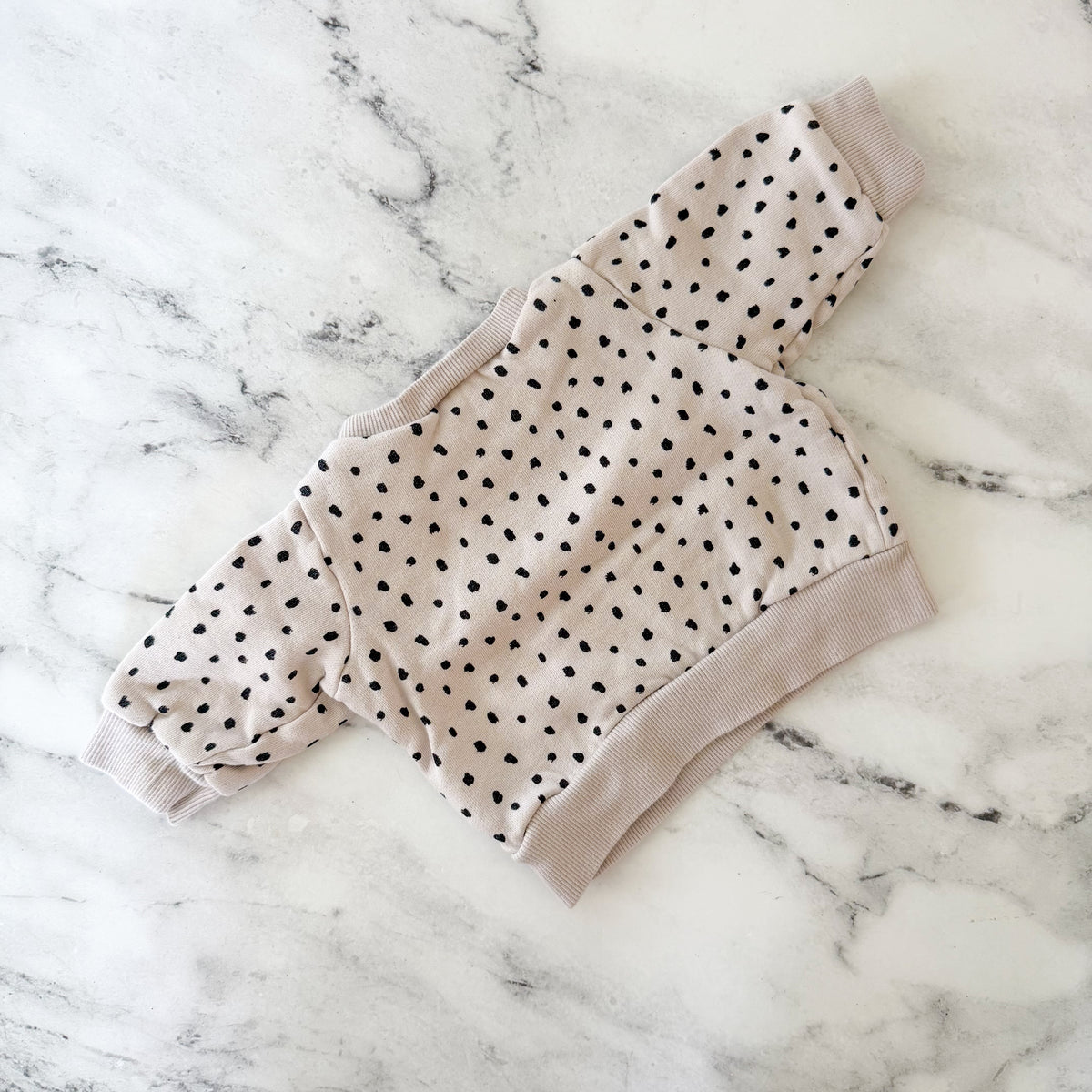 H&M Cream Black Dot Sweatshirt + Sweatshorts Matching Set | Premie