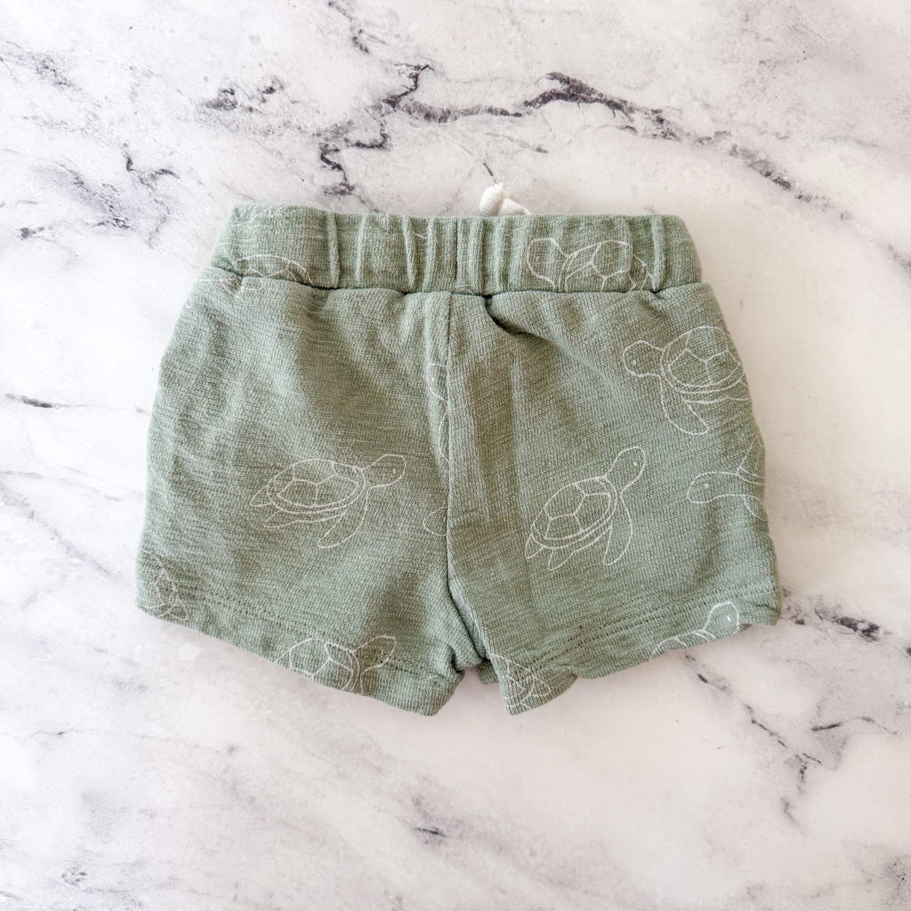 Little Planet Organic Sage Green Printed Turtles T-Shirt + Pull On Shorts Matching Set | 0-3m