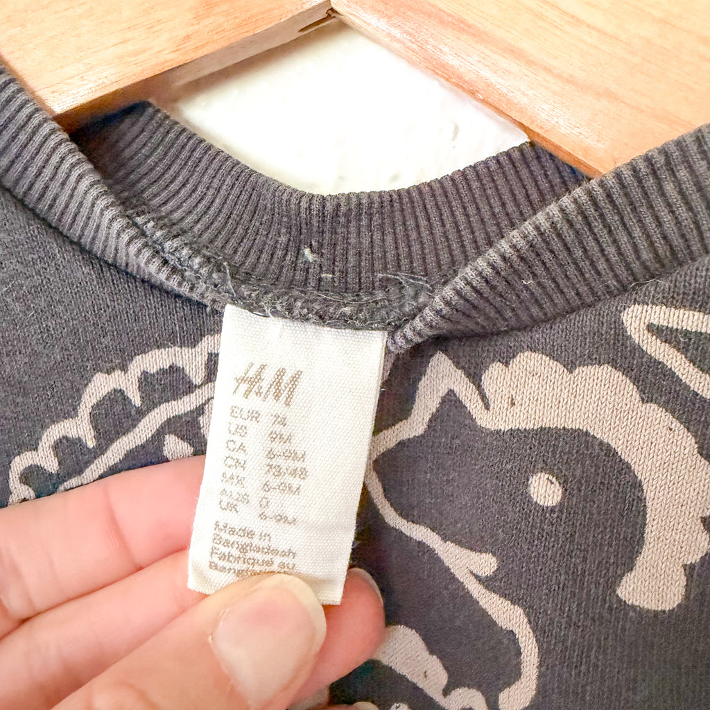H&M Tan Dinosaur Printed Charcoal Sweatshirt | 6-9m