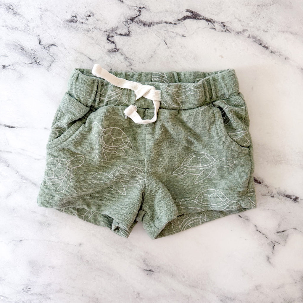 Little Planet Organic Sage Green Printed Turtles T-Shirt + Pull On Shorts Matching Set | 0-3m